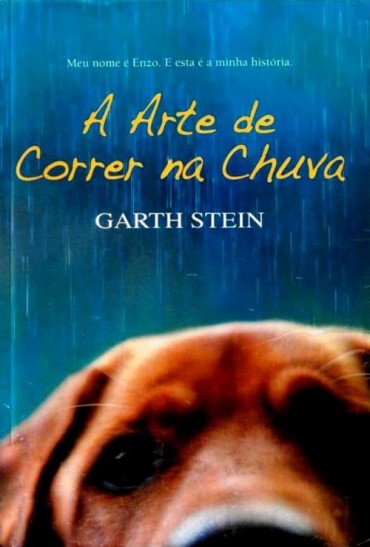 Baixar-Livro-A-Arte-de-Correr-na-Chuva-Garth-Stein-em-PDF-ePub-e-Mobi-370x547